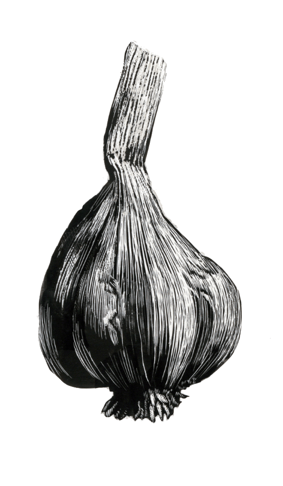 Über uns about black-garlic.ch schwarzer Knoblauch