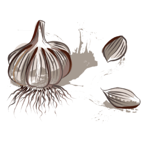 Über uns about us black garlic schwarzer knoblauch