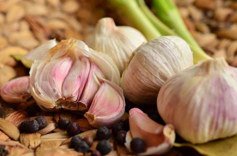 knoblauch gesund black garlic