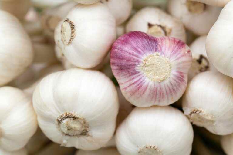 knoblauch gesund