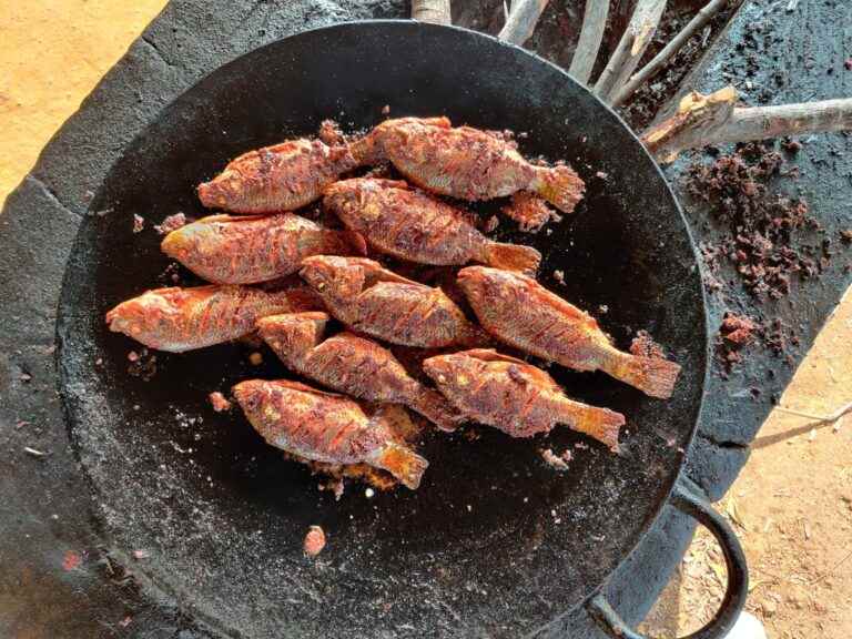 Grill Rezepte 2021 Fisch grillieren