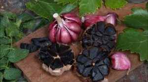 Black Garlic Shop kaufen schwarzer Knoblauch Wirkung