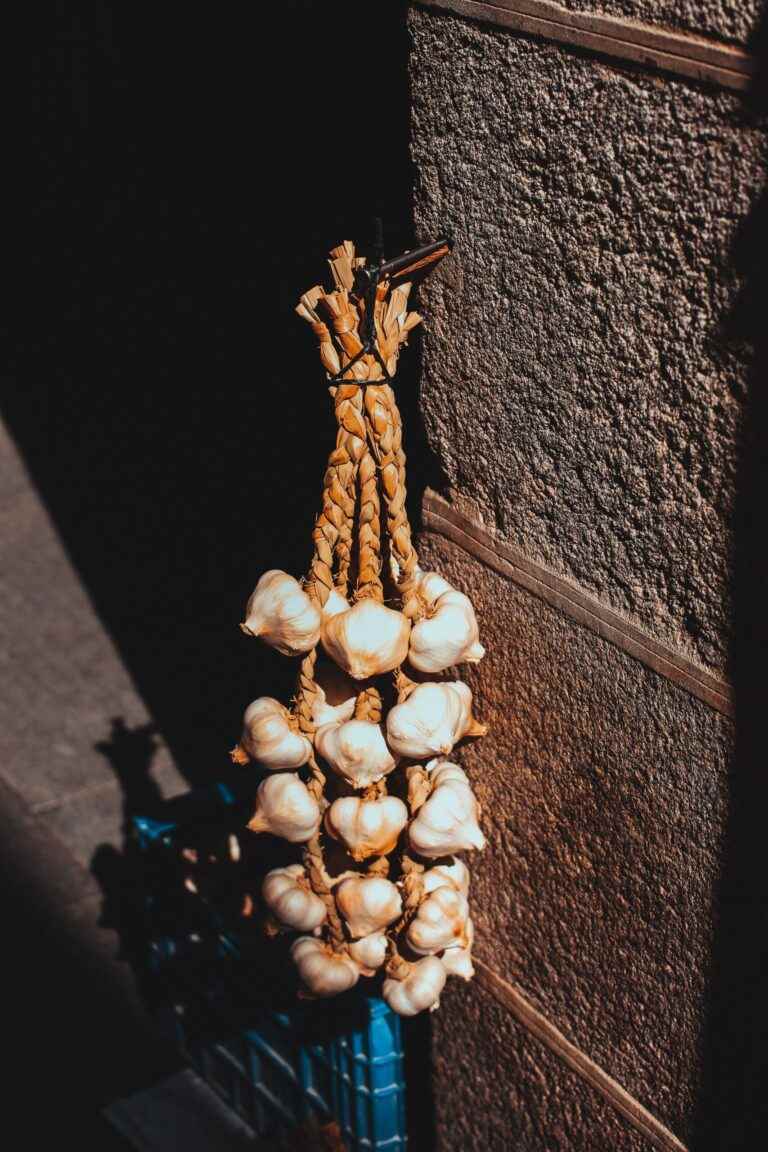 Knoblauch anpflanzen wie geht das