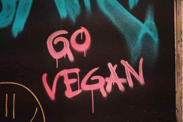 vegan-rezept.ch banner