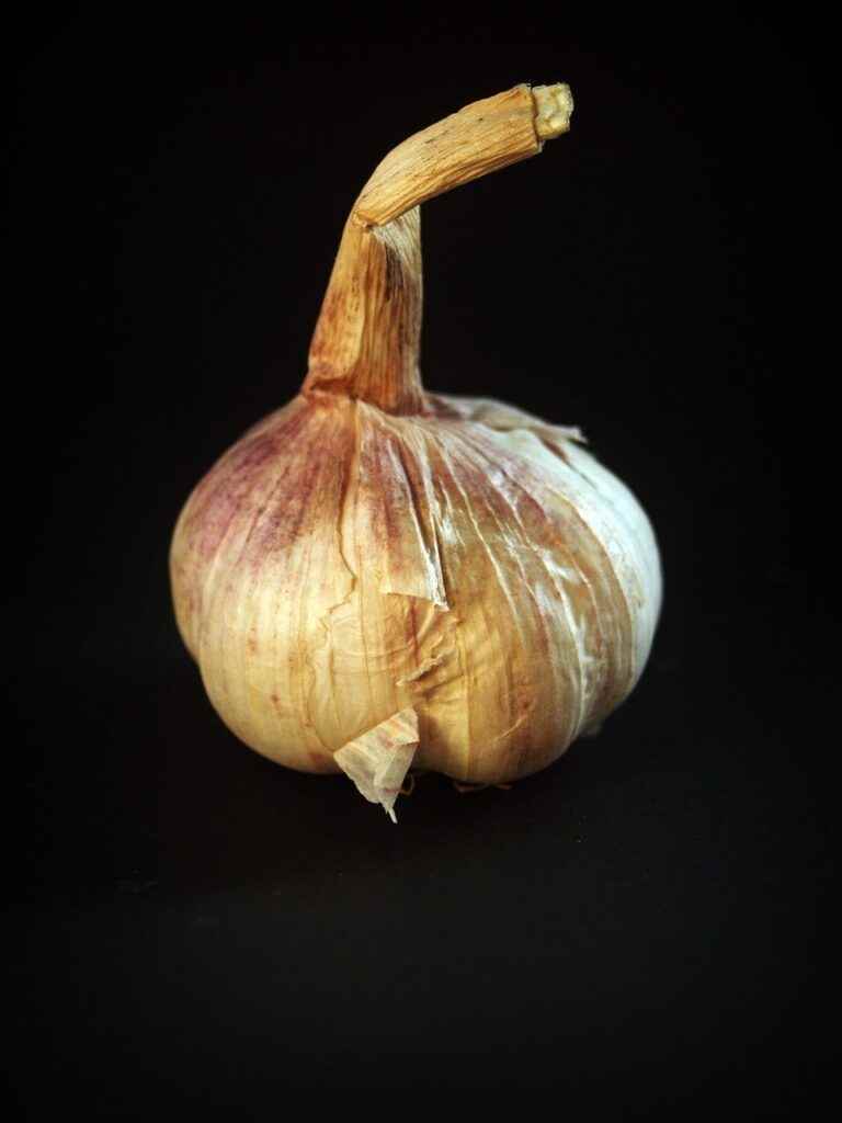 schwarzer Knoblauch Schweiz