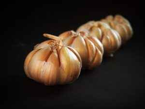 Knoblauch Rezepte