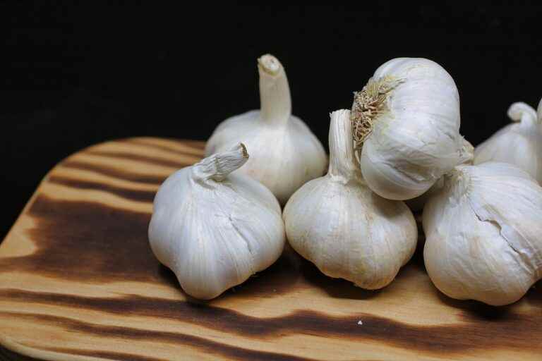 schwarzer Knoblauch selber machen