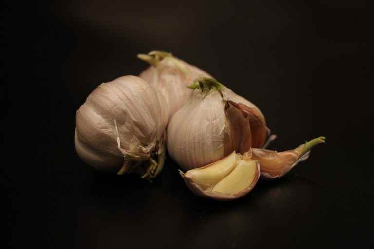 Der grosse Black Garlic Test Vergleich 2022