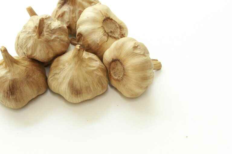 Black Garlic kaufen