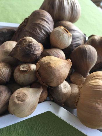 FAQ schwarzer Knoblauch pflanzen wirkung herkunft